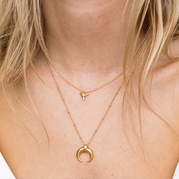 Gold Vermeil Large Horn Necklace 